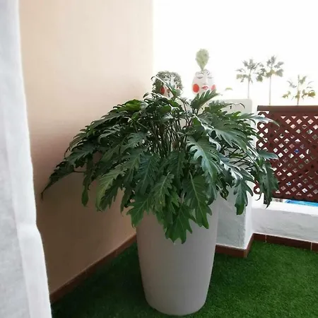 アパート Jungle House In Albatros Park